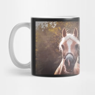 Haflinger in the sunlight Mug